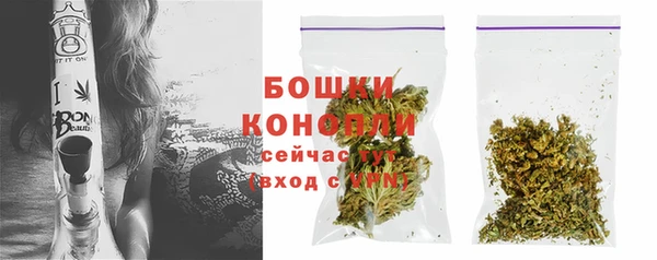 Альфа ПВП Лиски