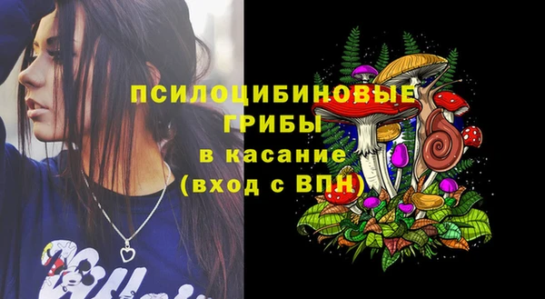 Альфа ПВП Лиски