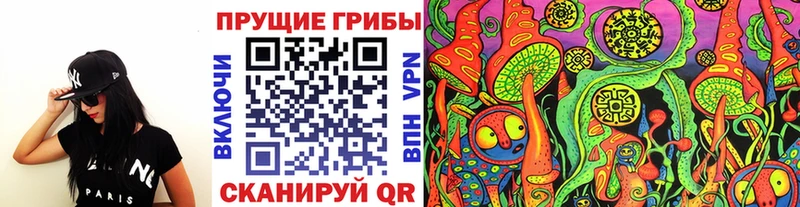 Псилоцибиновые грибы Cubensis  Иноземцево 